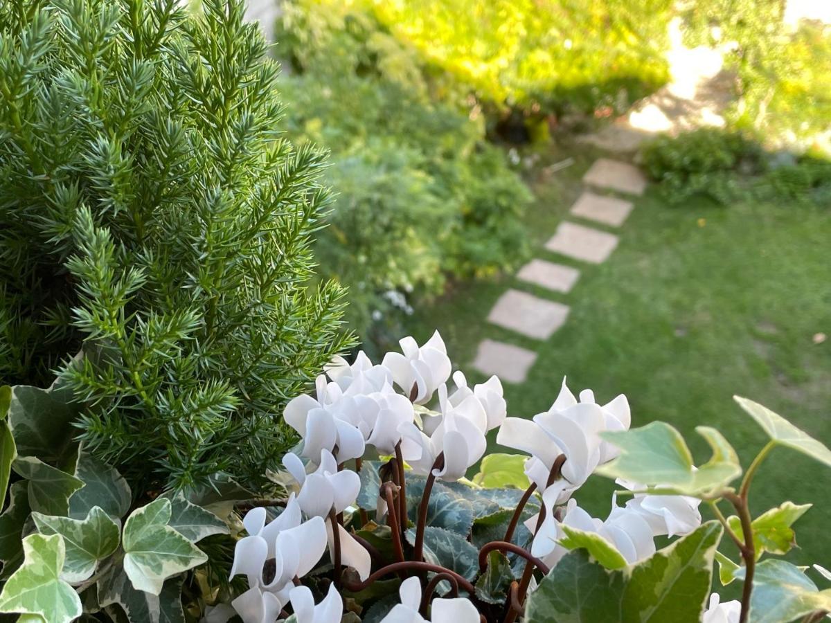 Hotel Casa Alpha Vittorio Veneto Zewnętrze zdjęcie