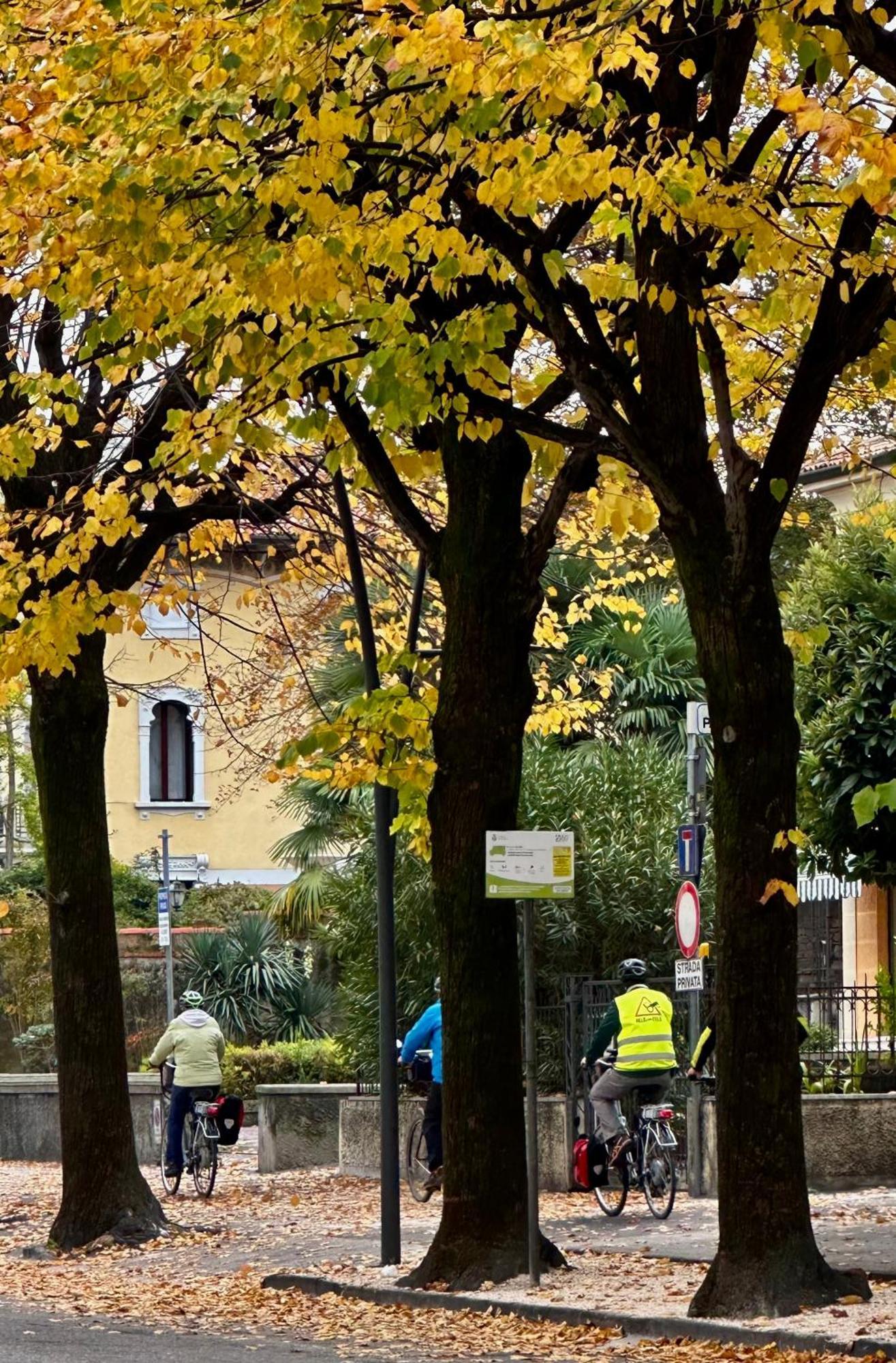 Hotel Casa Alpha Vittorio Veneto Zewnętrze zdjęcie